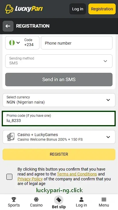 Registration promo code field