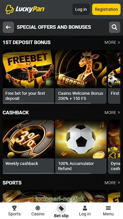 Bonus offers and promotions